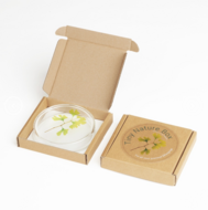 TINY NATURE BOX GINKO